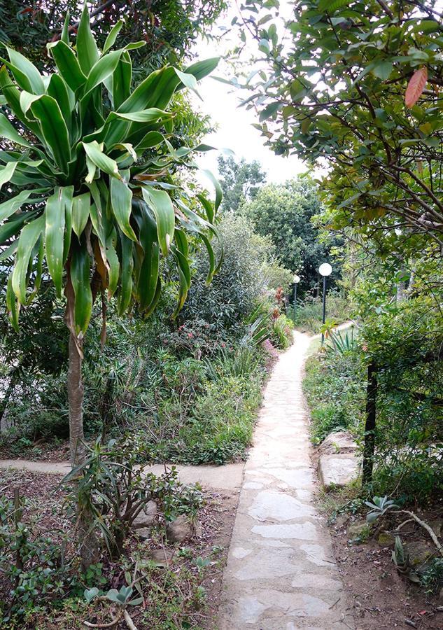 מבאבאנה Veki'S Village Cottages מראה חיצוני תמונה